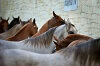 bg_image_1